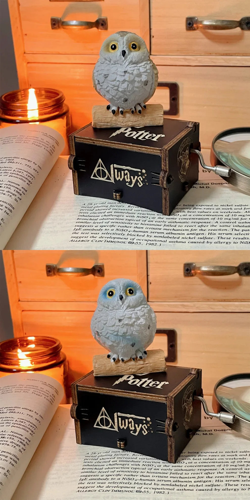 Hogwarts Magic Box